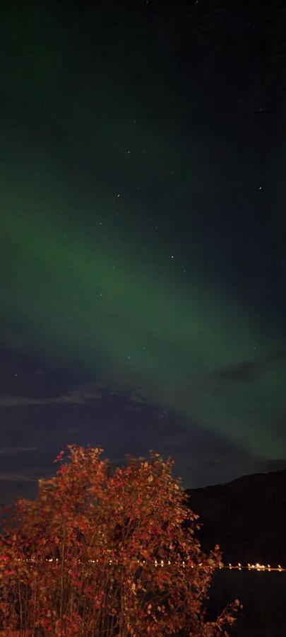 Aurora Dream Apartment Svensby Luaran gambar