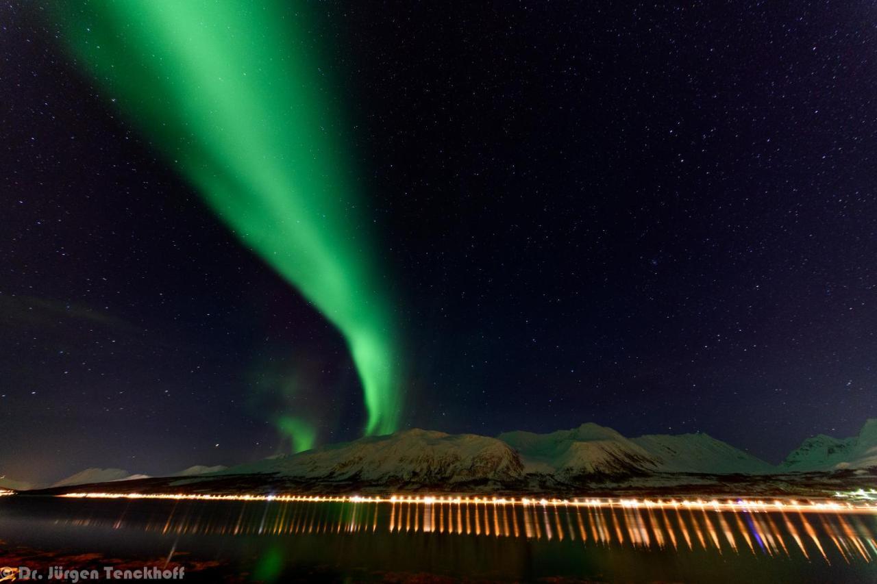 Aurora Dream Apartment Svensby Luaran gambar